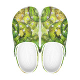 Classic Clogs Kiwi Slices Watercolor Art
