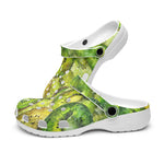 Classic Clogs Kiwi Slices Watercolor Art