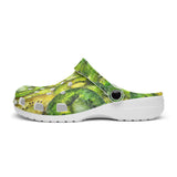 Classic Clogs Kiwi Slices Watercolor Art
