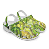 Classic Clogs Kiwi Slices Watercolor Art