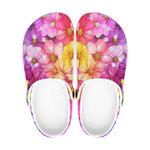 Classic Clogs Colorful Blooming Chrysanthemums Flowers